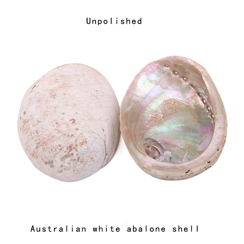 12-16CM Natural New Zealand Ab - Jewelry Making New Zealand review and price