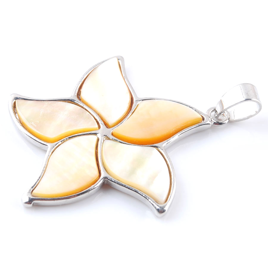 5pcs Natural New Zealand Abalo - Jewelry Making New Zealand review and price